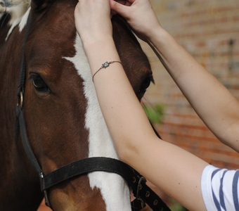 Activity day Plaiting